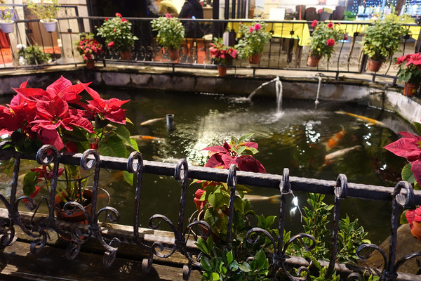 阿秋大肥鵝:(胖樺食記)台中在地人首推必吃美食「阿秋大肥鵝」,適合尾牙聚餐家庭聚會熱炒調味夠力