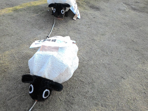 中央公園站：野放吉羊幸福久久~