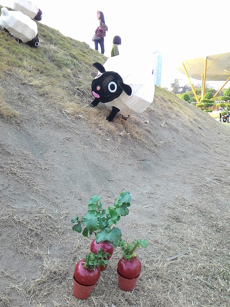 中央公園站:野放吉羊幸福久久~