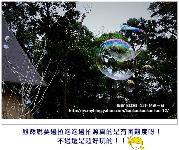 西湖渡假村：[苗栗] 三義。四月雪紛飛～浪漫桐花開