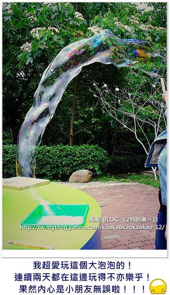 西湖渡假村：[苗栗] 三義。四月雪紛飛～浪漫桐花開