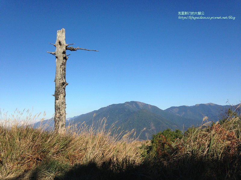 武陵&福壽山 1859_副本.jpg