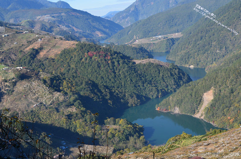 武陵&福壽山 335_副本.jpg