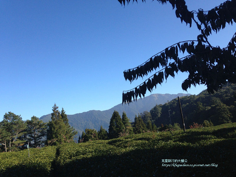 武陵&福壽山 1864_副本.jpg