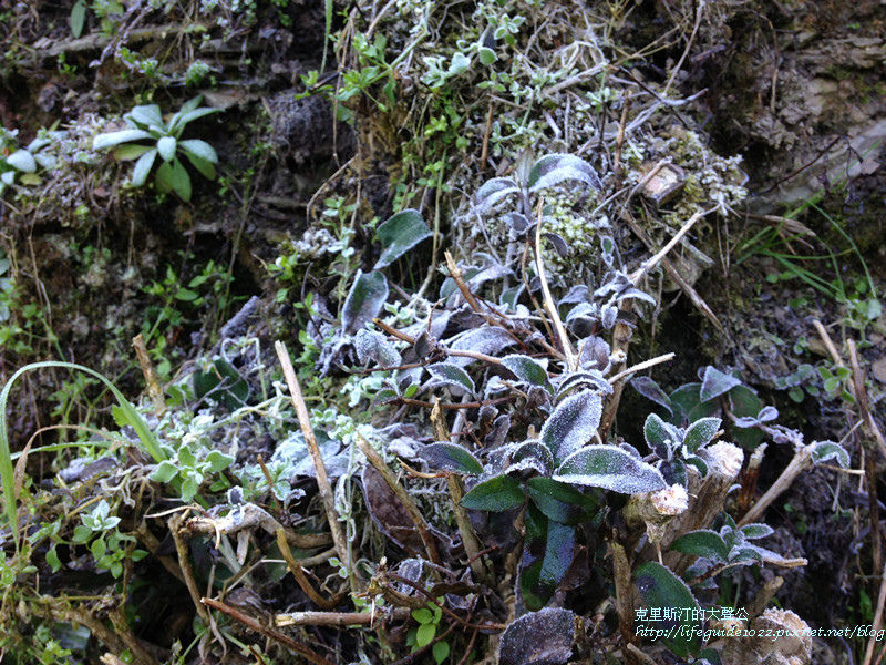 武陵&福壽山 1925_副本.jpg