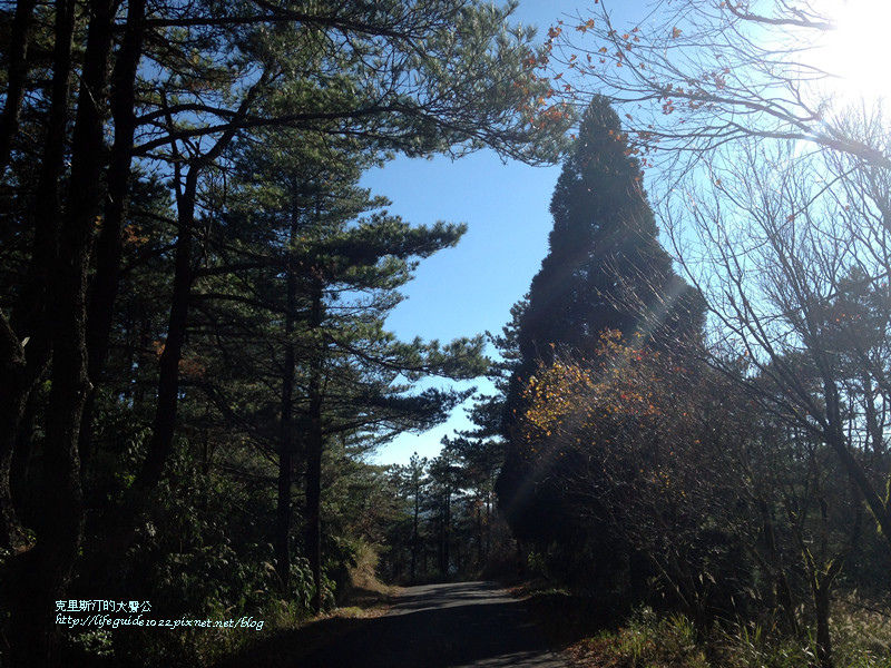 武陵&福壽山 1858_副本.jpg