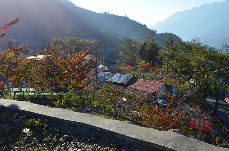 武陵&福壽山 281_副本.jpg