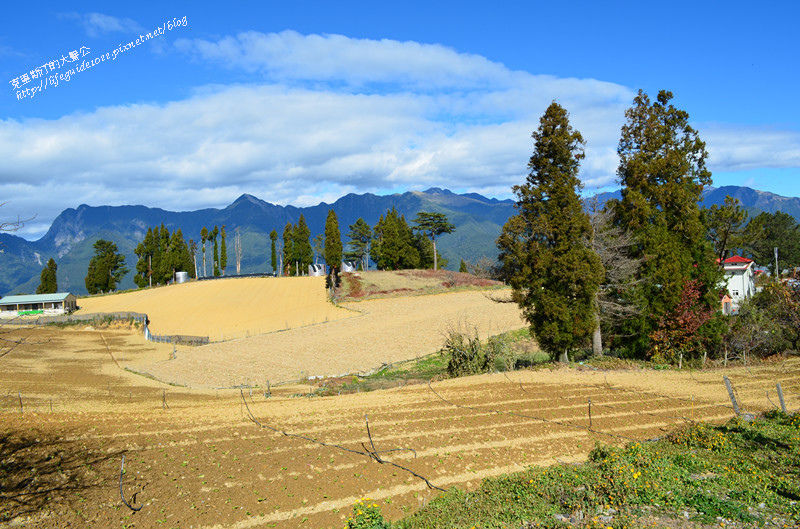 武陵&福壽山 918_副本.jpg