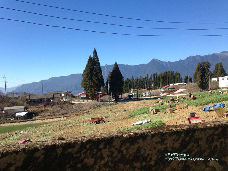 武陵&福壽山 1831_副本.jpg