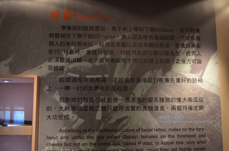 武陵&福壽山 246_副本.jpg