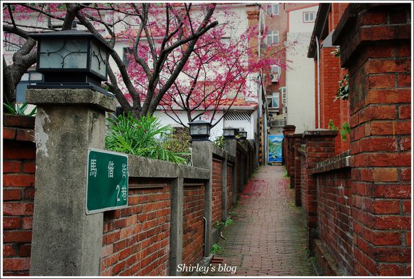 淡水老街：淡水小鎮邂逅櫻花散策