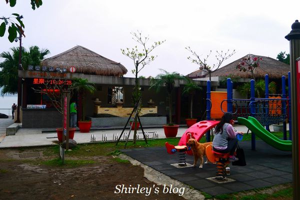 淡水老街:淡水老街邂逅紫藤花