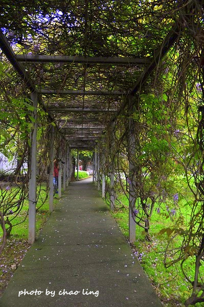 淡水老街-7.JPG - 2016春暖花開