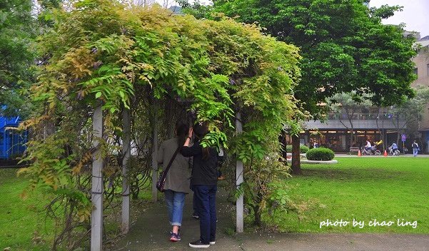 淡水老街-4.JPG - 2016春暖花開