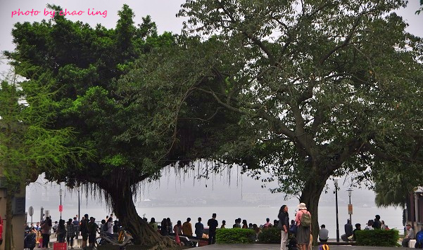 淡水老街-18.JPG - 2016春暖花開