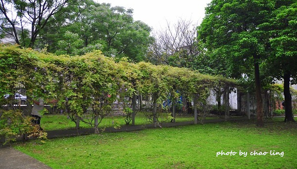 淡水老街-2.JPG - 2016春暖花開