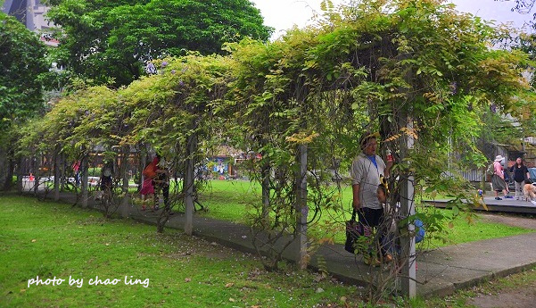 淡水老街-3.JPG - 2016春暖花開