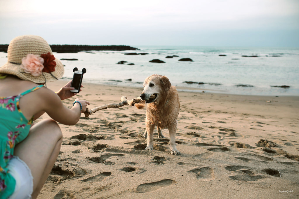 那淺水灣的踏浪探險隊