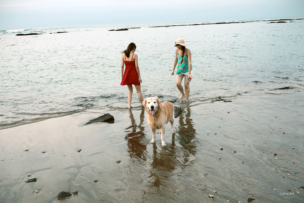 那淺水灣的踏浪探險隊
