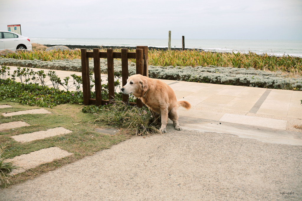 那淺水灣的踏浪探險隊