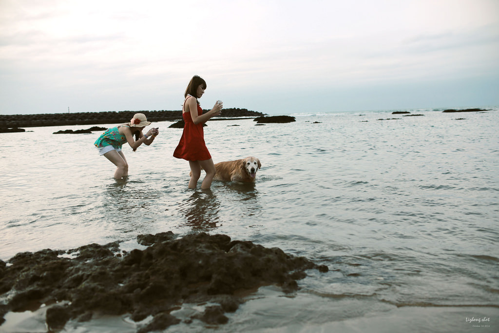 那淺水灣的踏浪探險隊