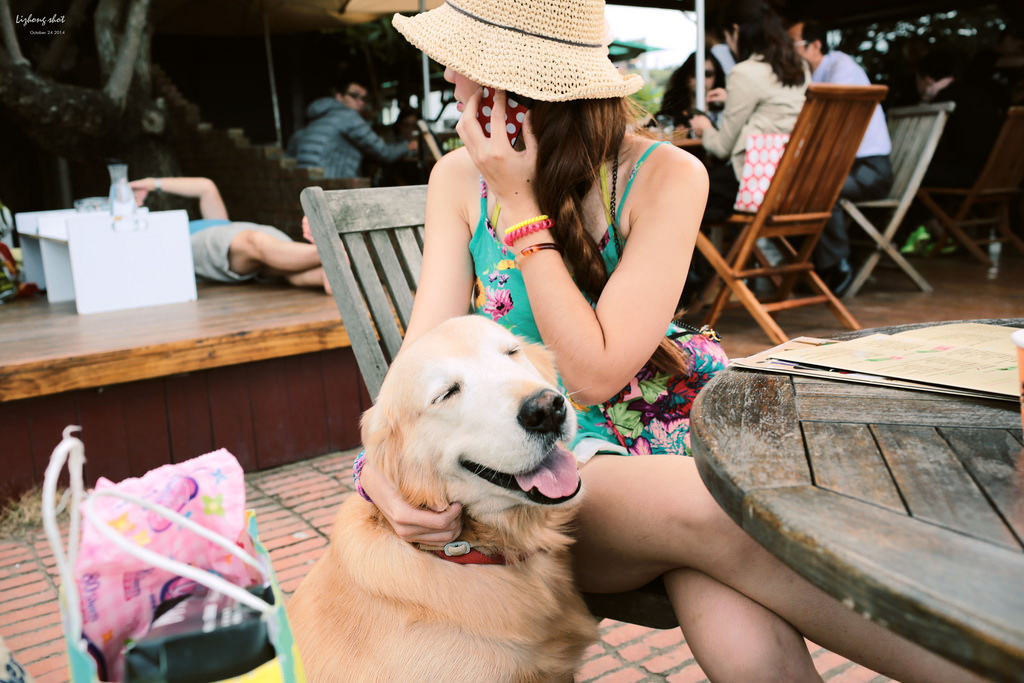 那淺水灣的踏浪探險隊