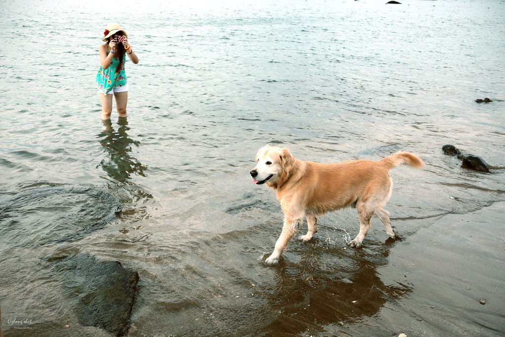 那淺水灣的踏浪探險隊