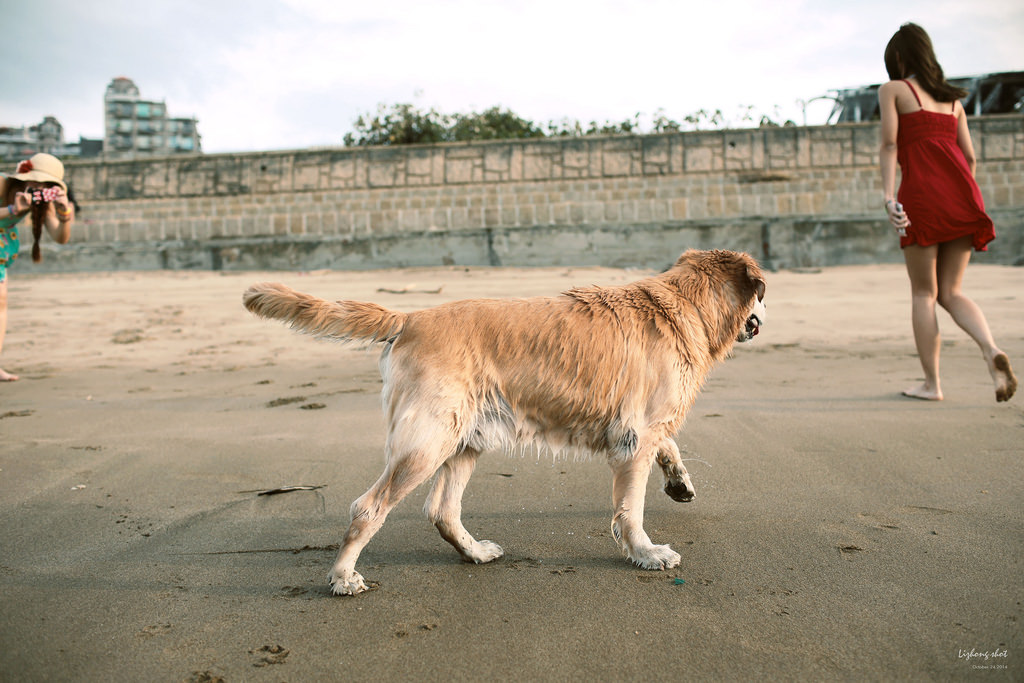 那淺水灣的踏浪探險隊