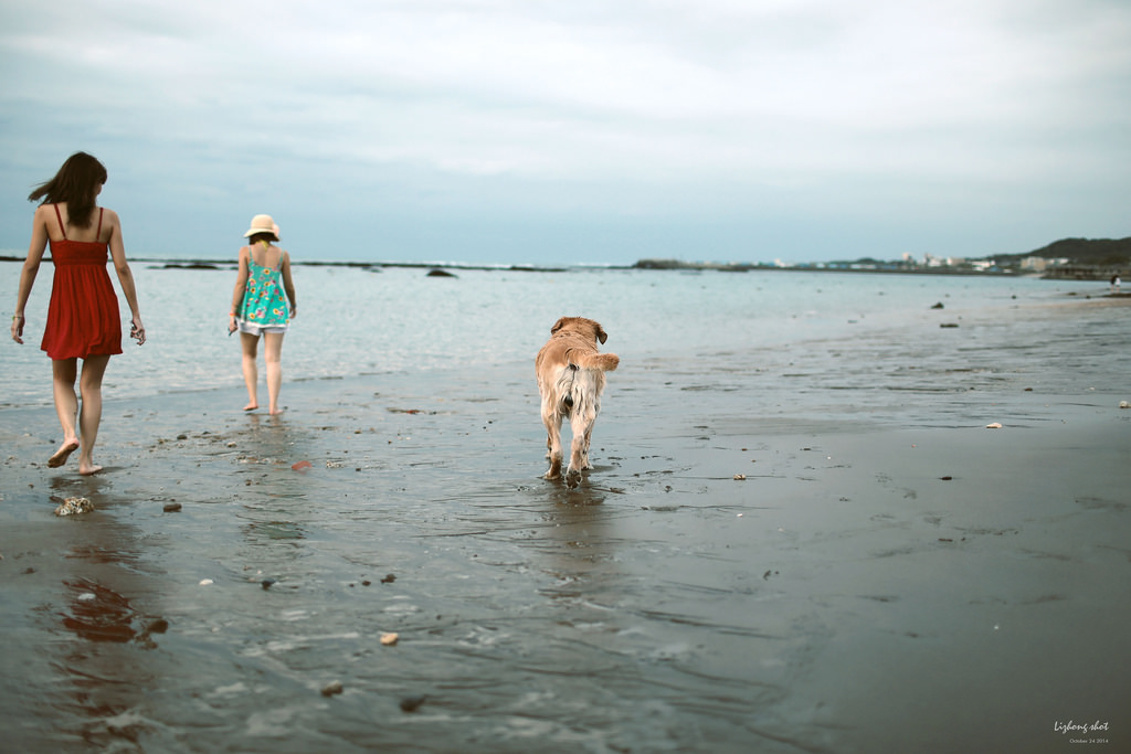 那淺水灣的踏浪探險隊
