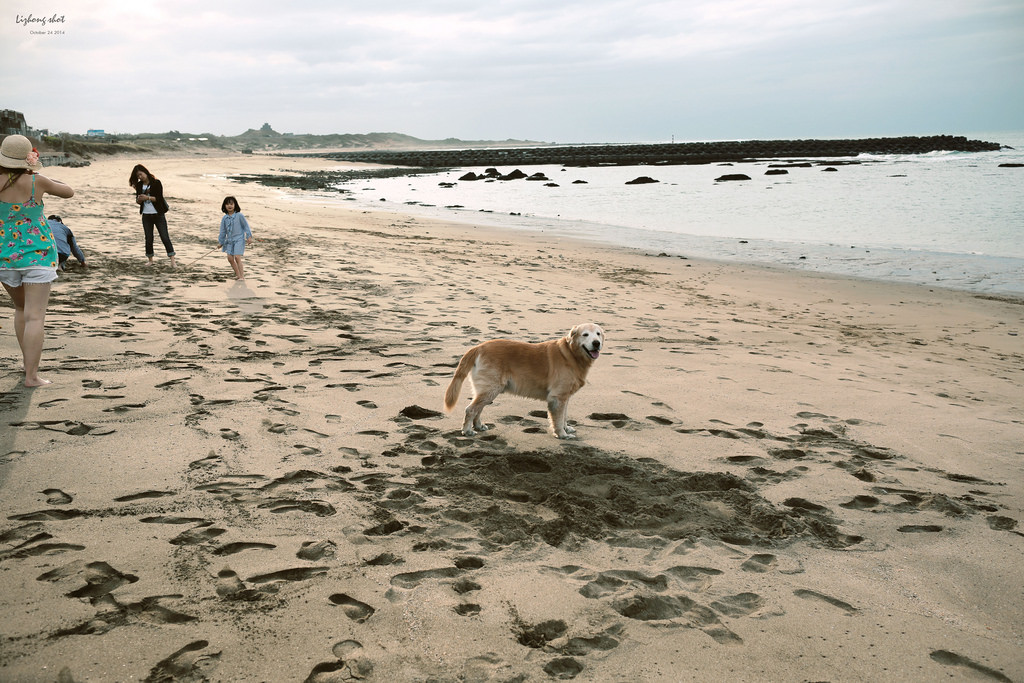 那淺水灣的踏浪探險隊