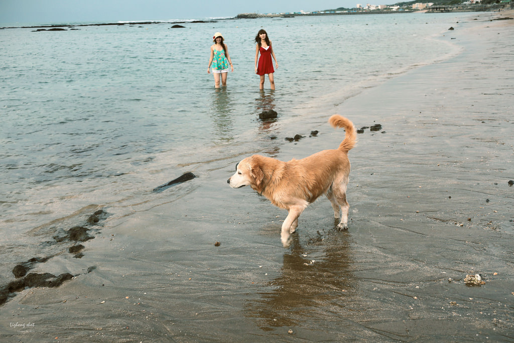 那淺水灣的踏浪探險隊