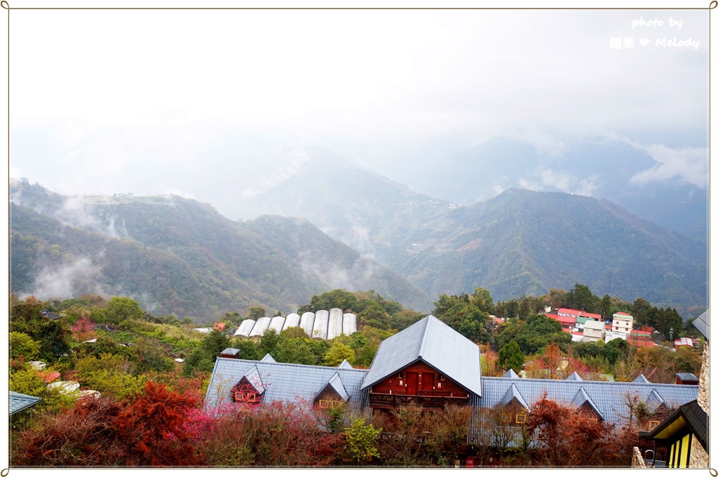 清境普羅旺斯玫瑰莊園 (34).JPG