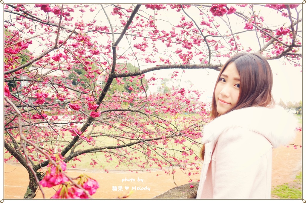 清境普羅旺斯玫瑰莊園 (42).JPG