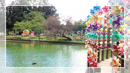 清境普羅旺斯玫瑰莊園:台灣清境小遊記