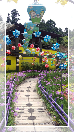 清境普羅旺斯玫瑰莊園:台灣清境小遊記