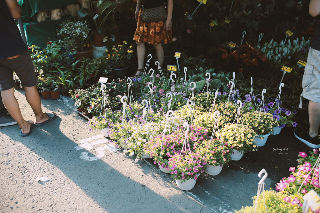 一些流金歲月的新竹單日慢行