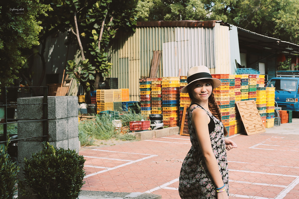 一些流金歲月的新竹單日慢行