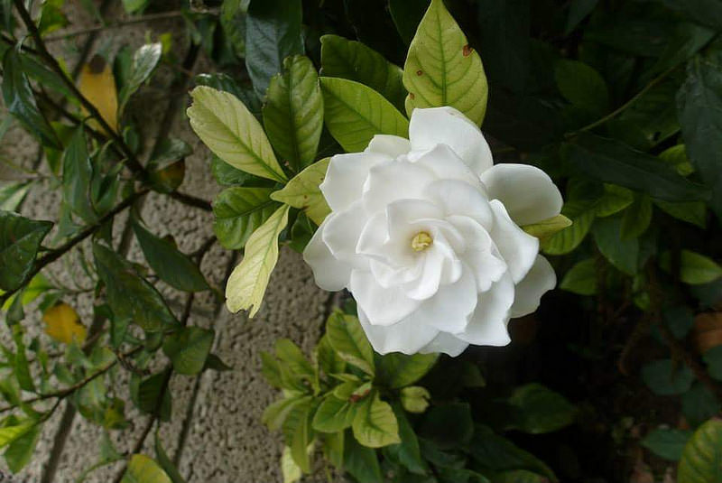 FB_IMG_1430082317872