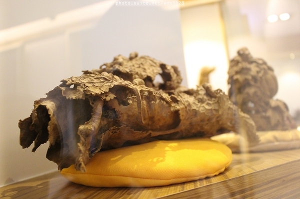 雅風筑雲：台中【雅風筑雲】藝園餐廳❤美食與藝術的結合，彷彿罝身於博物館用餐~103.04.20