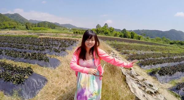 螢幕快照 2015-09-28 上午11.55.49_副本