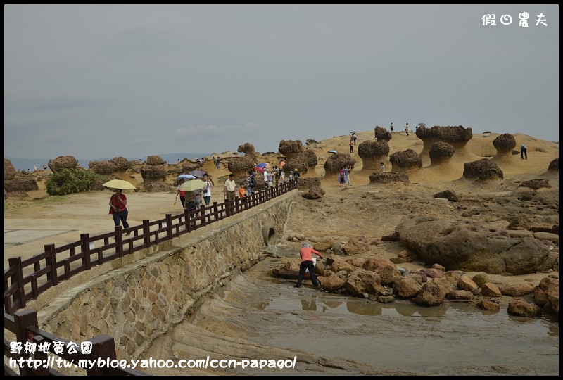 野柳地質公園_DSC3806