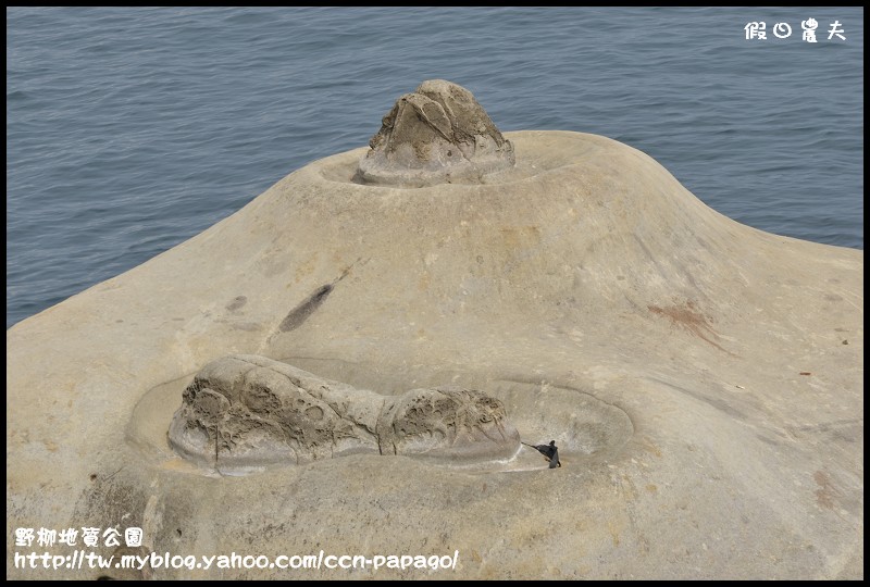 野柳地質公園_DSC3773
