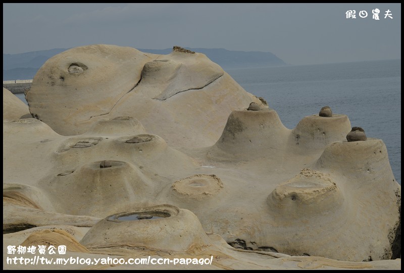 野柳地質公園_DSC3837