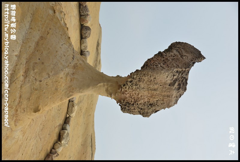 野柳地質公園_DSC3754