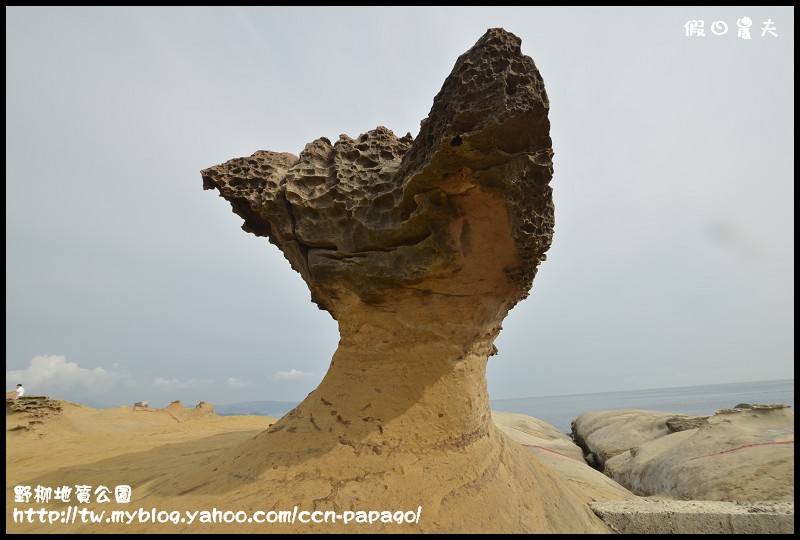 野柳地質公園_DSC3784