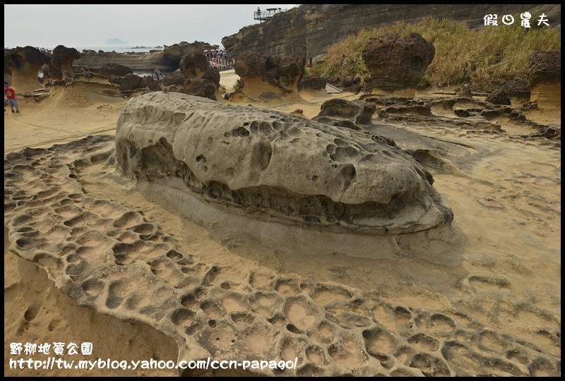 野柳地質公園_DSC3824