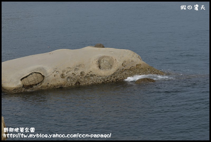 野柳地質公園_DSC3775