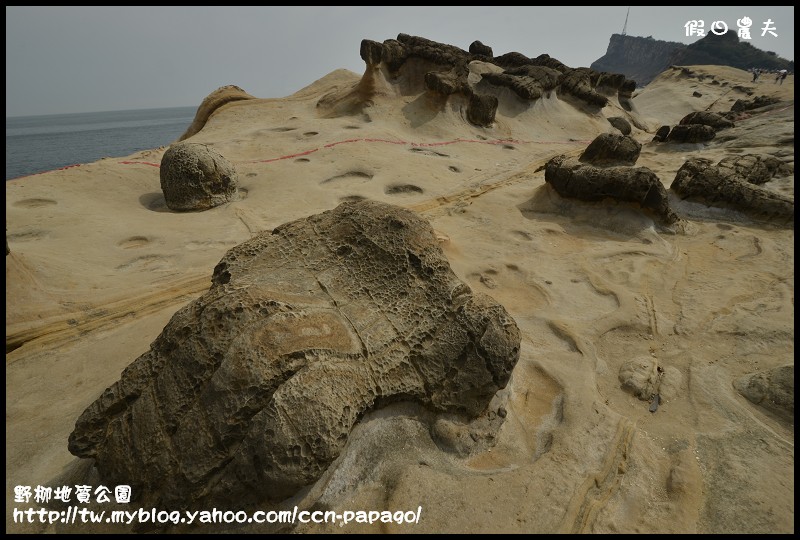 野柳地質公園_DSC3831