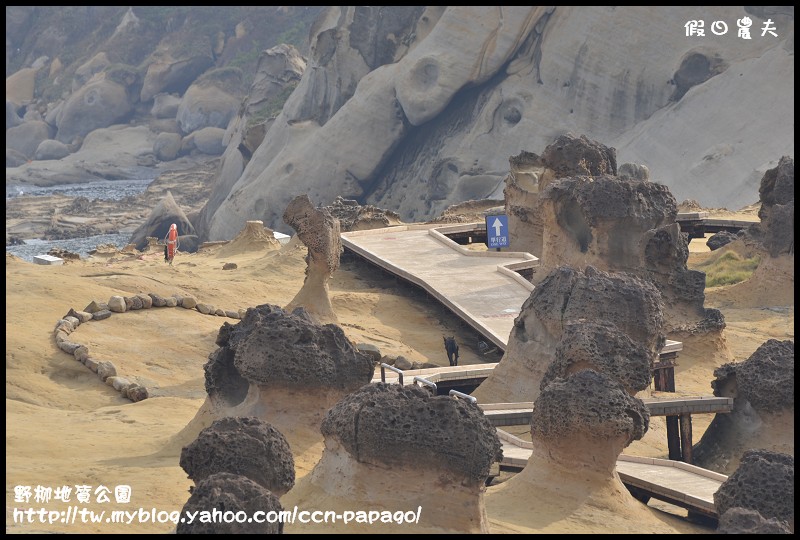 野柳地質公園_DSC3726