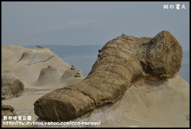 野柳地質公園_DSC3841